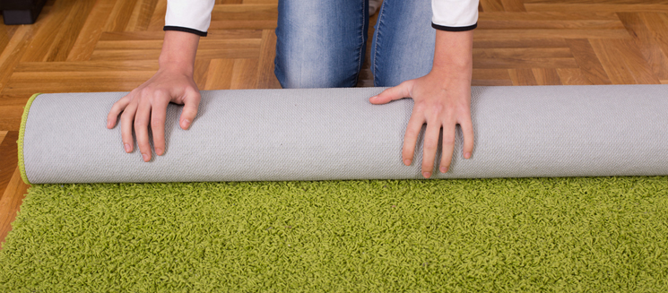 Carpeting vs Hardwood: which floors you should choose?